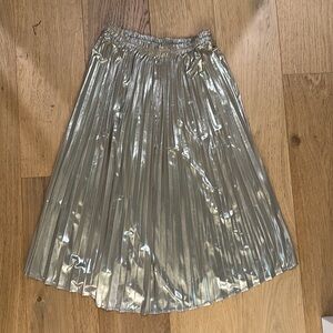 Shiny small pleated skirt